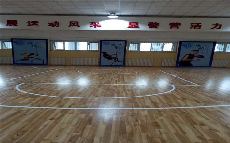 常見的運(yùn)動木地板圖片
