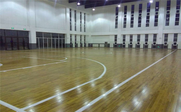 天津楓木運(yùn)動木地板價(jià)格及圖片