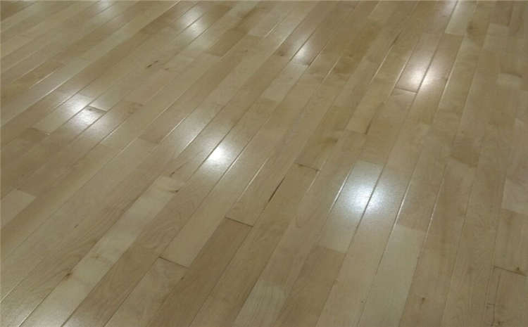 常見的運(yùn)動木地板圖片