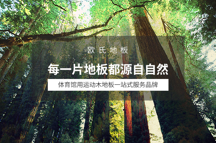 江蘇體育館運動木地板安裝