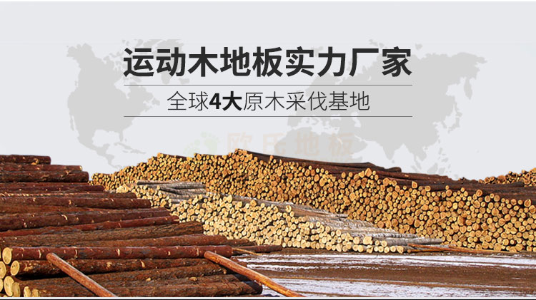 江蘇體育館運動木地板安裝